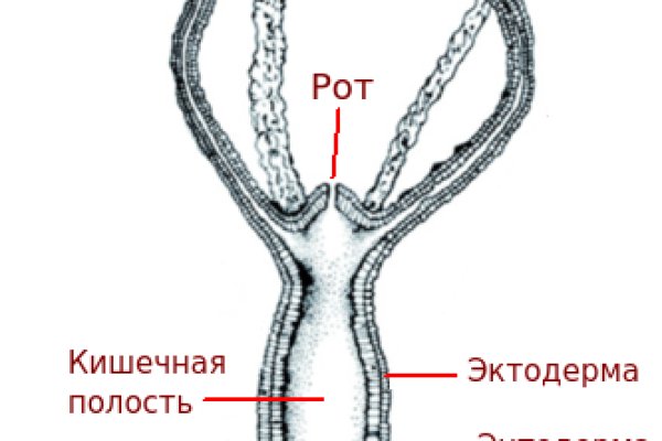 Кракен что это магазин